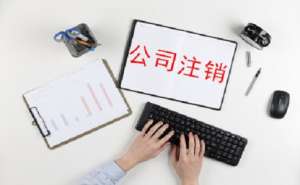 哪些企業(yè)類(lèi)型可以申請(qǐng)簡(jiǎn)易注銷(xiāo)需要提交哪些材料