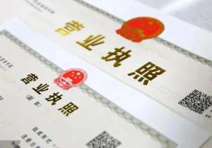 蕪湖公司執(zhí)照變更需要準備哪些材料